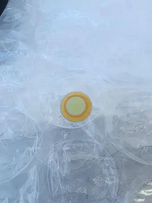 LEYBOLD AR COATER SENSOR HEADS