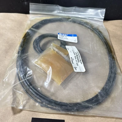 NEW SMC CS1N250A-PS