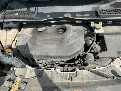Used 2014 FORD ESCAPE SUVs Michigan US | Miedema Asset Management Group #1414602