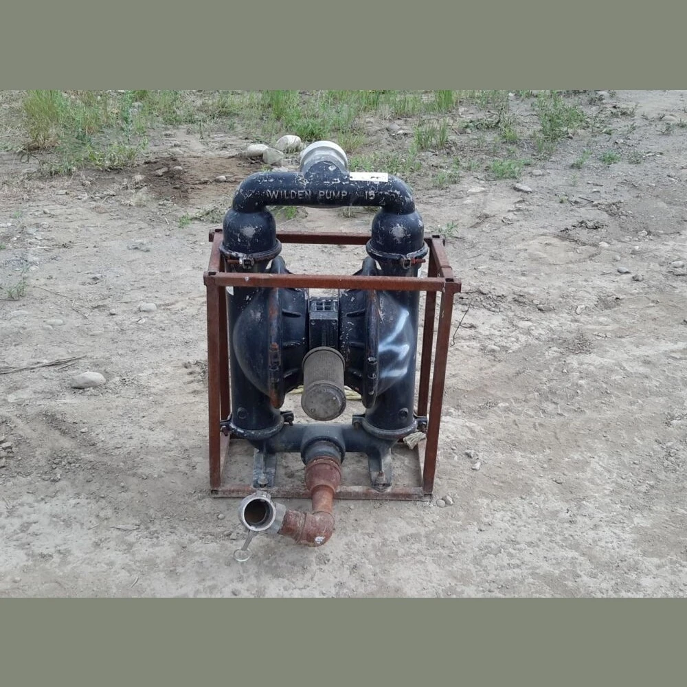 Wilden M15 Duplex Diaphragm Pump