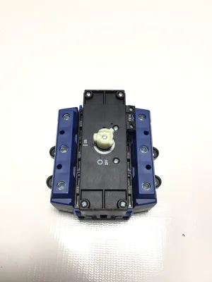 Kraus & Naimer KG250 T303/DKA358 VE Main Switch