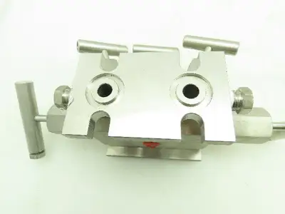 Endress Hauser HEX Stainless Block and Bleed Manifold Valve 1/2"