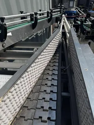 Alliance Infeed/ Dump conveyor