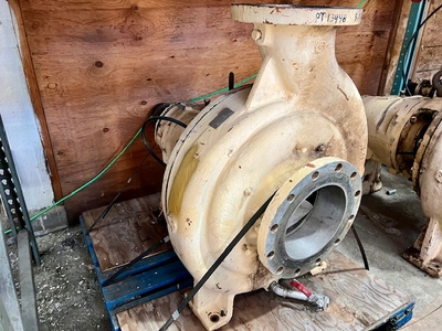 USED Goulds 3175