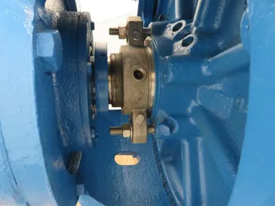 USED Goulds 3175