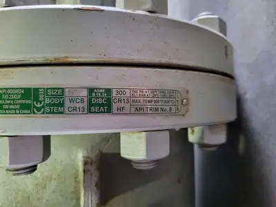 6" Class 300 Gate Valve B16.34