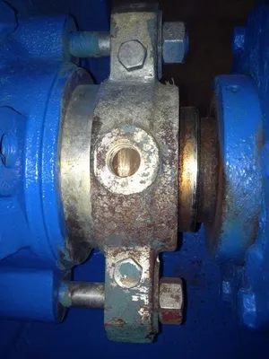 USED Goulds 3175