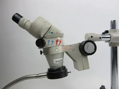 Nikon Microscope with fibre light