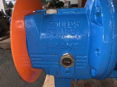 USED Goulds 3796