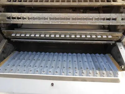 Washer, Vial, Auto, Tunnel, S/st, Linear, Mdl 100 #C742071