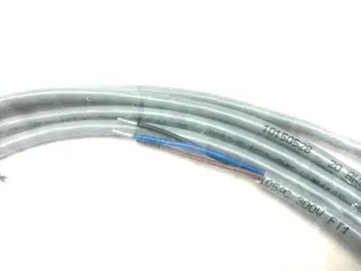NEW TURCK EUROFAST SINGLE ENDED CORDSET M12 4-PIN