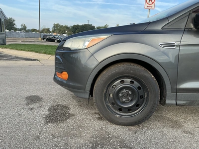 Used 2016 FORD ESCAPE SUVs Michigan US | Miedema Asset Management Group #1406841
