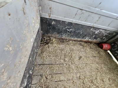 TITAN CATTLE/ LIVESTOCK TRAILER Trailer | Iron Listing (33)