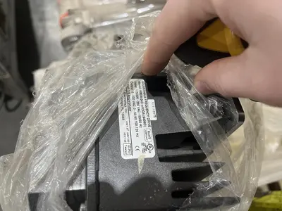 Berry Sizing Conveyor