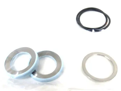 NEW SWAGELOK MS-INS-R60-1 VALVE REPAIR KIT MSINSR601