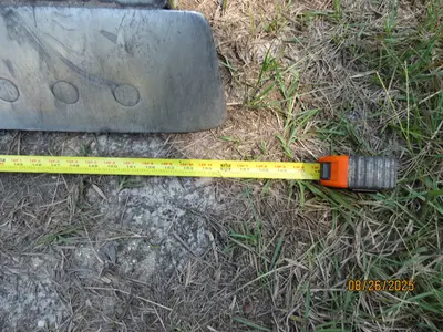 Used 1998 CATERPILLAR D6M LGP Bulldozers Georgia US | Proxy Equipment #1378425