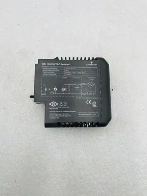 EMERSON DELTAV KJ3001X1-BH1 120/230VAC NSNP #K-2626