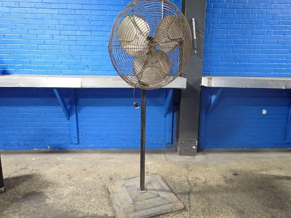 24” Pedestal Fan