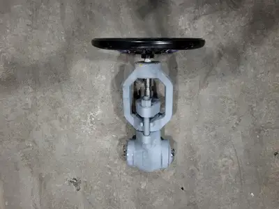 2" Class 1500 Globe Valve B16.34