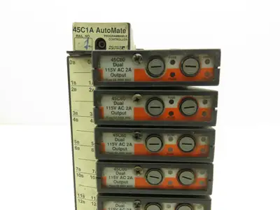 Reliance Electric 45C1A AutoMate Programmable Controller W/8 Dual 24V Outputs