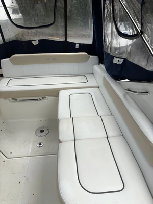 Used 2009 SEA RAY 250 SUNDANCER Boats (Misc) Virginia US | Affordable Outdoors #1638036
