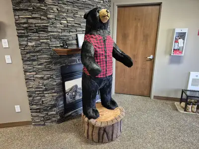 6'-3" Black Bear Display