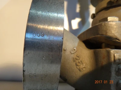 Annin 2", Class 600, CF8M, Control Valve