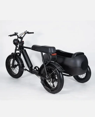 New | in-Stock Ebike PlayeBike 750w 6 Speed Shimano Electric Tricycle Ebike Bicycle With Side Car Motorcycles (Misc) California US | DanvasLLC #1303687