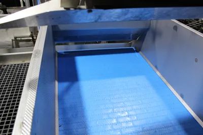 Hopper Feed Conveyor