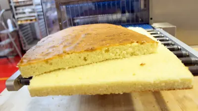 KRUMBEIN | HS300 Horizontal Tabletop Slicer | Cake Slabber