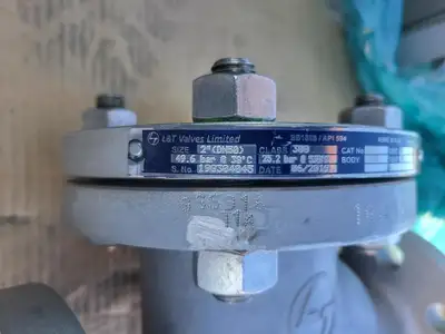 2" Class 300 Globe Valve API 594