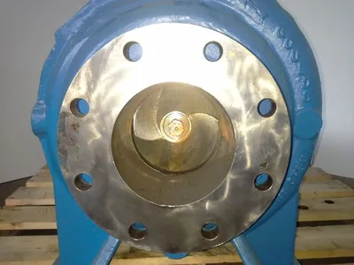 USED Goulds 3175
