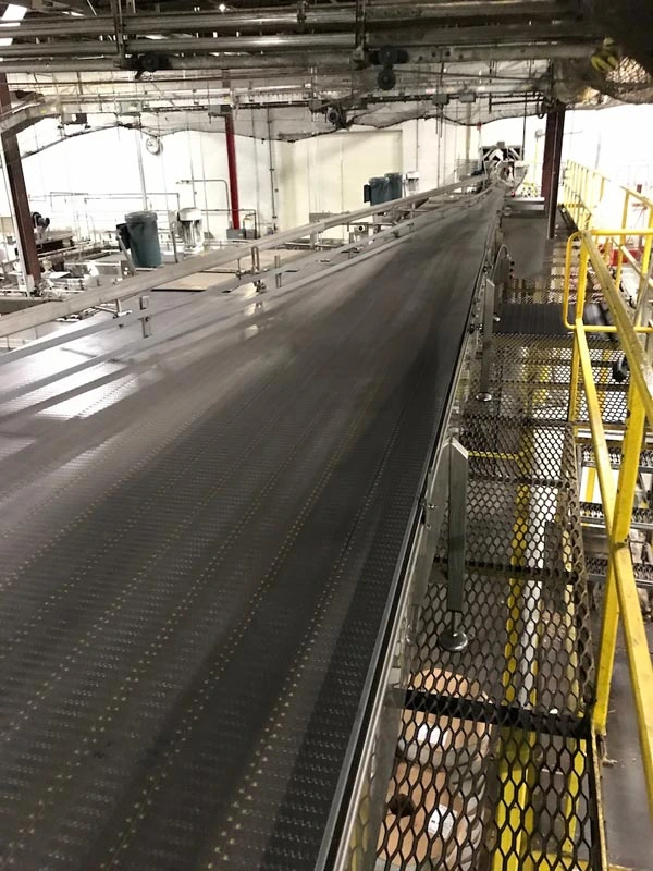Multi-Conveyor Pressureless Combiner Single Filer Conveyor
