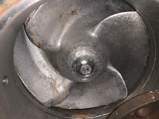 USED Goulds 3175