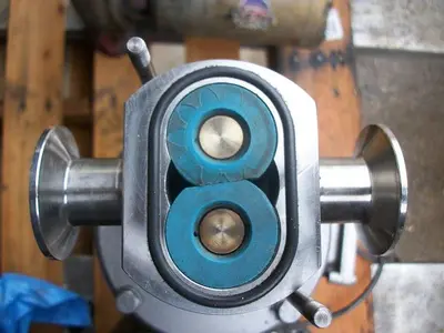 Pump, Positive, IBEX, Mdl 030, S/st, 1/2 HP, 1" #S741763