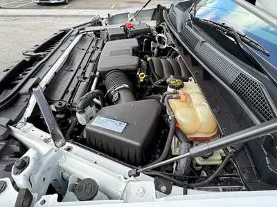 Used 2019 CHEVROLET SILVERADO 1500 Pickup Trucks Florida US | Truck and Van Outlet #1509134