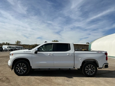 Used 2024 CHEVROLET SILVERADO 1500 Pickup Trucks Michigan US | Miedema Asset Management Group #1568324