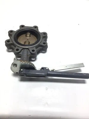 Milwaukee Valve CL223ED-38055-NA-C91 Butterfly Valve