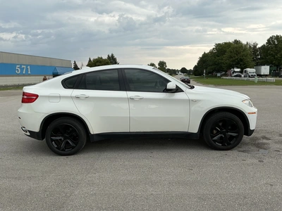 Used 2010 BMW X6 Tracked Mud Buggy Michigan US | Miedema Asset Management Group #1474468