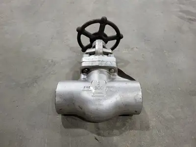 2" Class 800 Globe Valve B16.34