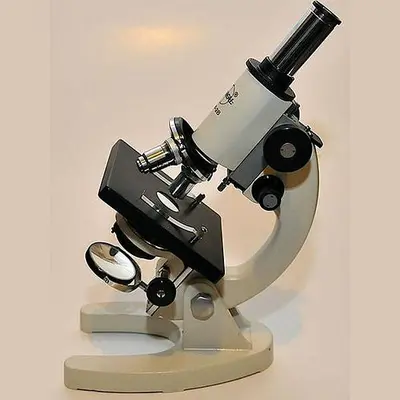 Student Compound Microscope RM-2B