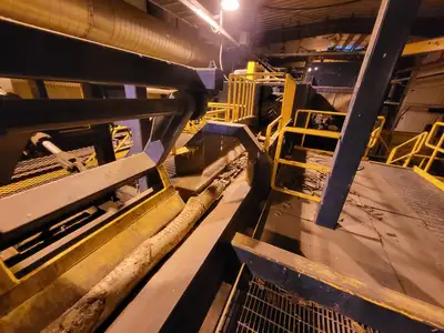 Infeed Log Conveyor for Chipper
