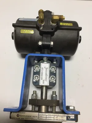 Jamesbury 815L-11-2236-TT C MOD Wafer-Sphere Butterfly Valve Size 4