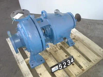 USED Goulds 3175