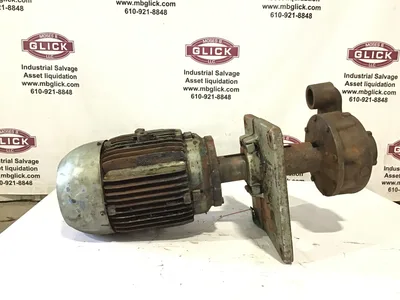 WEG 27030-3-R-C1 Motor with Centrifugal Pump