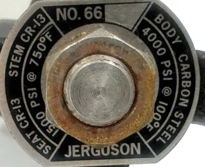 NEW JERGUSON CR-13 CHECK VALVE CR13