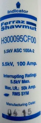 NEW MERSEN FERRAZ SHAWMUT H300095CF00 FUSE 5500V 100A