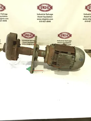 WEG 27030-3-R-C1 Motor with Centrifugal Pump