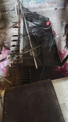 HARRIS SEYBOLD CJH-S Extrusion Other, Guillotine | Mark One Machinery (4)