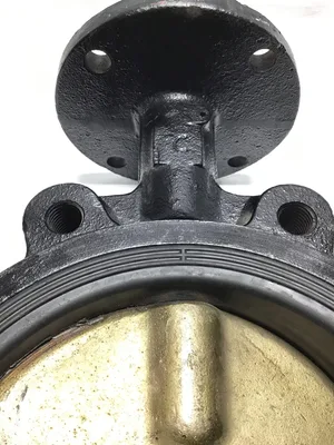 38032-UA-C91 8″ Butterfly Valve